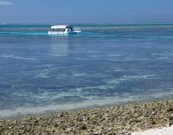 Glass-bottom tour-boat arriving Lady Musgrave Island